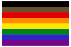 rainbow flag with brown and black bands. 